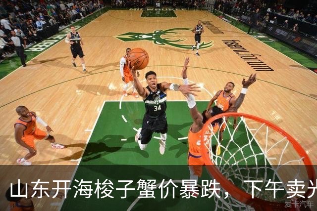 山东开海梭子蟹价暴跌，下午卖光，公蟹反超母蟹成抢手货