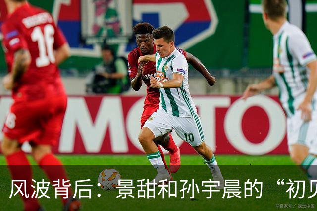 风波背后：景甜和孙宇晨的“初见”纷争